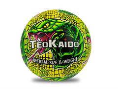 PALLONE BEACH/VOLLEY CUOIO 'SNAKE' TEOK   24 C