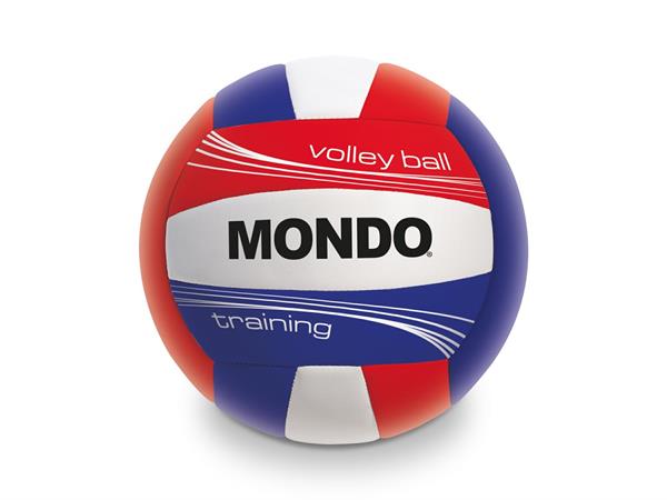 PALLONE BEACH/VOLLEY CUOIO 'TRAINING' PREMIUM  50 E    2/COLORI