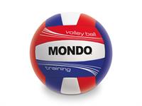 PALLONE BEACH/VOLLEY CUOIO 'TRAINING' PREMIUM  50 E    2/COLORI
