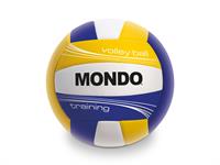 PALLONE BEACH/VOLLEY CUOIO 'TRAINING' PREMIUM  50 E    2/COLORI
