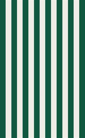 TELO MARE ENJOY CM. 90x165 SPUGNA 'RIGATO VERDE'  24 £