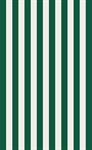 TELO MARE ENJOY CM. 90x165 SPUGNA 'RIGATO VERDE'  24 £