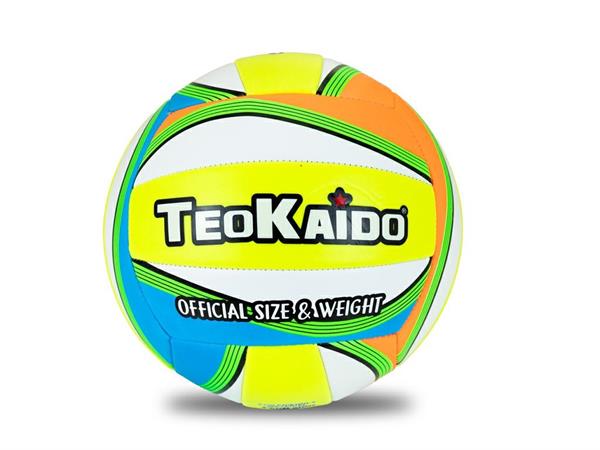 PALLONE BEACH/VOLLEY CUOIO 'STAR'  24 £