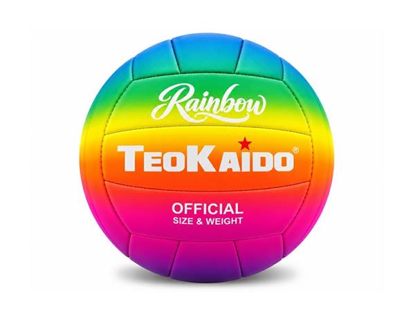 PALLONE BEACH/VOLLEY CUOIO 'RAINBOW' TEOK 24 =